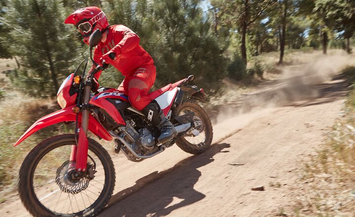 2021 Honda CRF300L & Rally Review - First Ride