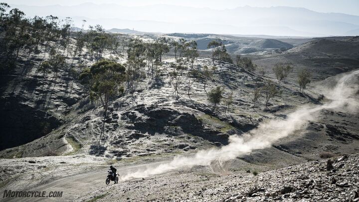 2024 ducati desertx rally review first ride