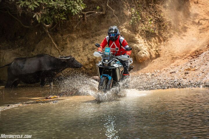 Dodging water buffalo on the way to the beach.