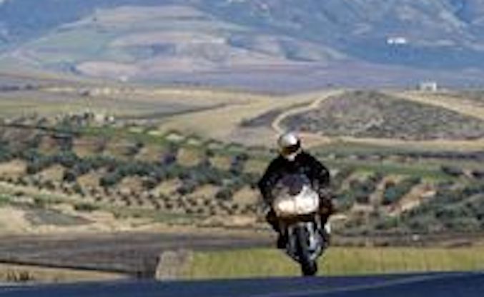 Church of MO: 2002 Suzuki SV-1000S