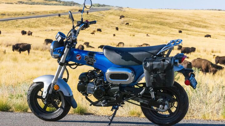 honda adds to its minimoto lineup with the dax 125