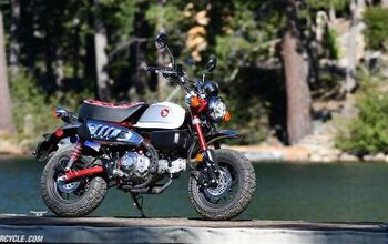 Monkeys in the Trees