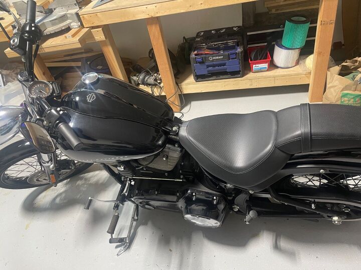 rarely ridden blackline