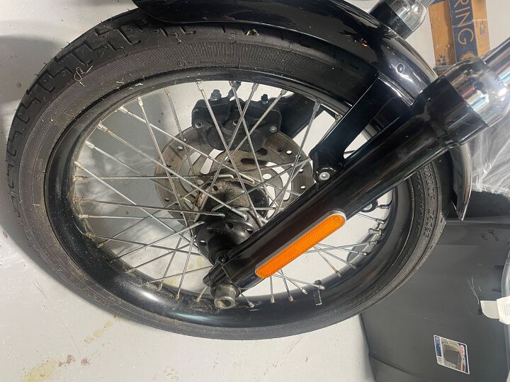 rarely ridden blackline